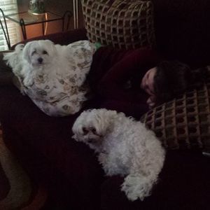 Meet your Posher, Peggy